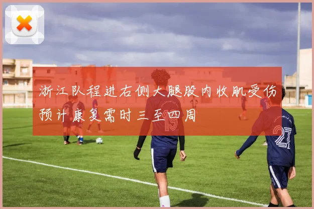 浙江队程进右侧大腿股内收肌受伤预计康复需时三至四周