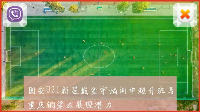 国安U21新星戴金宇试训中超升班马重庆铜梁龙展现潜力