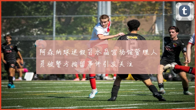 阿森纳球迷假冒水晶宫场馆管理人员被警方拘留事件引发关注